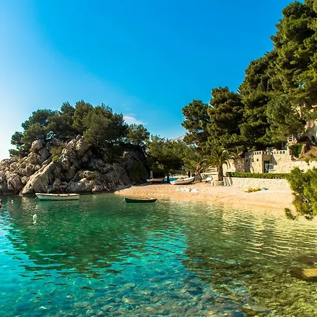 Central City Celestine Makarska